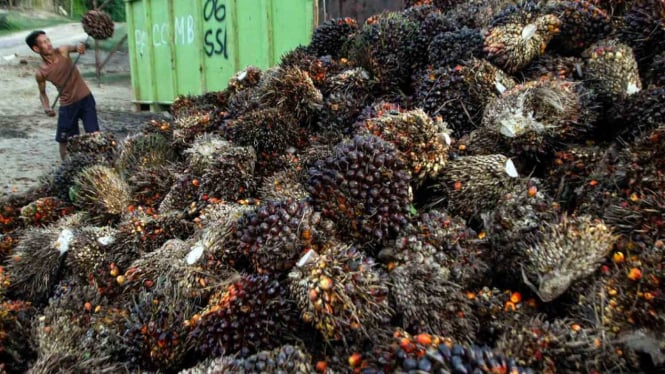 Jokowi Minta Sri Langka Cabut Larangan Impor Minyak Sawit